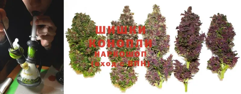 Бошки марихуана THC 21%  гидра рабочий сайт  Соликамск  купить закладку 